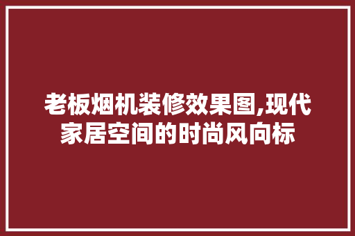 老板烟机装修效果图,现代家居空间的时尚风向标