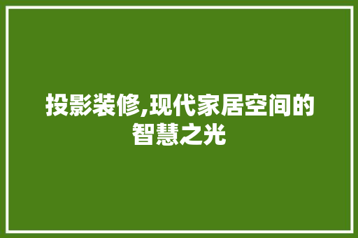 投影装修,现代家居空间的智慧之光 地板材料