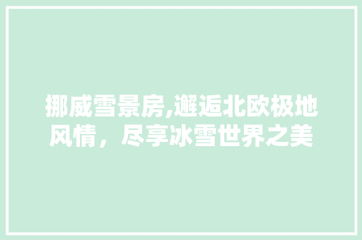 挪威雪景房,邂逅北欧极地风情，尽享冰雪世界之美