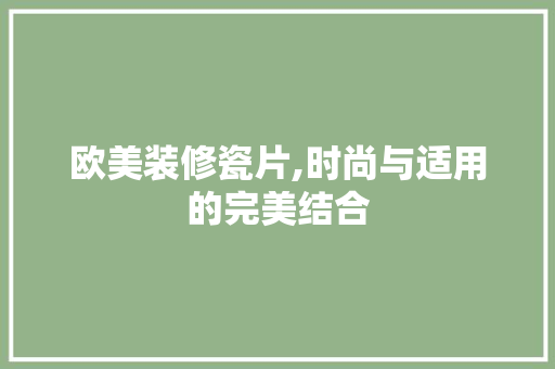 欧美装修瓷片,时尚与适用的完美结合