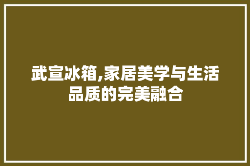 武宣冰箱,家居美学与生活品质的完美融合 木雕艺术