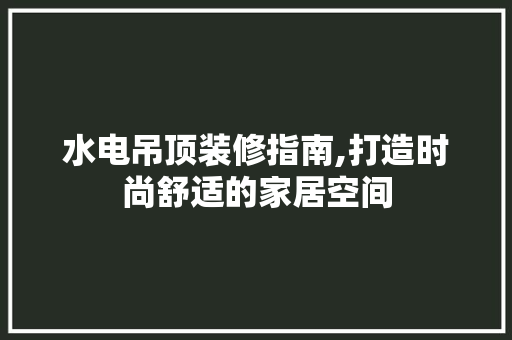 水电吊顶装修指南,打造时尚舒适的家居空间 木雕艺术