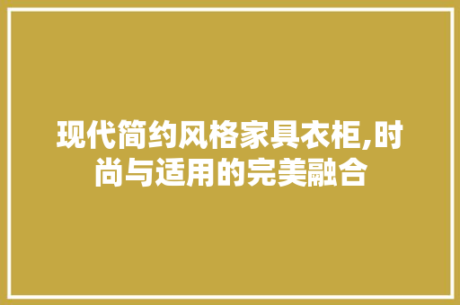 现代简约风格家具衣柜,时尚与适用的完美融合