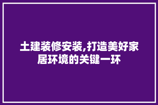 土建装修安装,打造美好家居环境的关键一环 软装设计