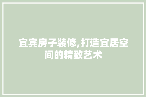 宜宾房子装修,打造宜居空间的精致艺术 客厅装修