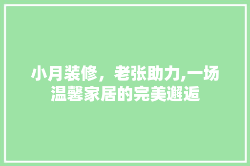 小月装修，老张助力,一场温馨家居的完美邂逅