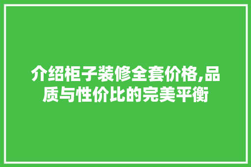 介绍柜子装修全套价格,品质与性价比的完美平衡