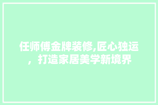 任师傅金牌装修,匠心独运，打造家居美学新境界