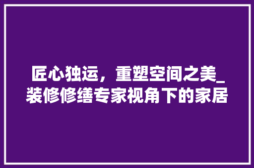 匠心独运，重塑空间之美_装修修缮专家视角下的家居焕新 软装设计