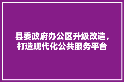 县委政府办公区升级改造，打造现代化公共服务平台 家居装修