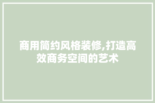 商用简约风格装修,打造高效商务空间的艺术