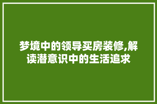梦境中的领导买房装修,解读潜意识中的生活追求