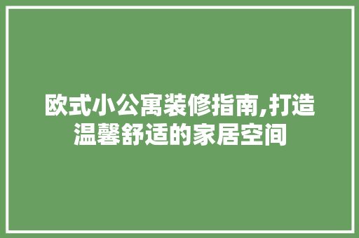 欧式小公寓装修指南,打造温馨舒适的家居空间 室内设计