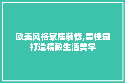 欧美风格家居装修,碧桂园打造精致生活美学 软装设计