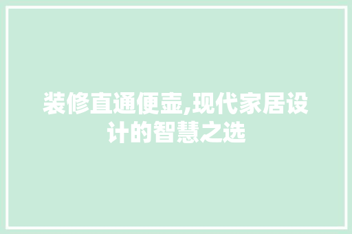 装修直通便壶,现代家居设计的智慧之选