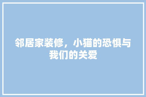 邻居家装修，小猫的恐惧与我们的关爱