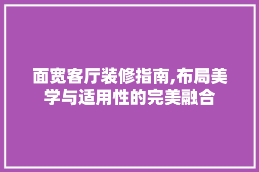 面宽客厅装修指南,布局美学与适用性的完美融合 软装设计