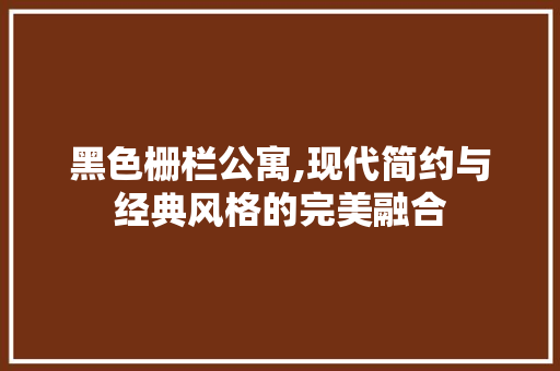 黑色栅栏公寓,现代简约与经典风格的完美融合 软装设计