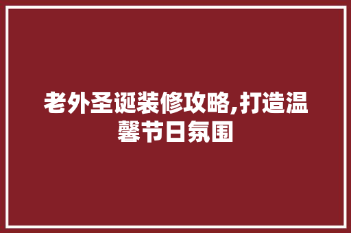老外圣诞装修攻略,打造温馨节日氛围