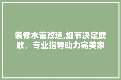 装修水管改造,细节决定成败，专业指导助力完美家 客厅装修