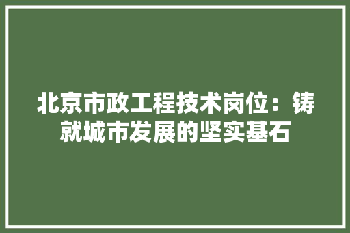 北京市政工程技术岗位：铸就城市发展的坚实基石