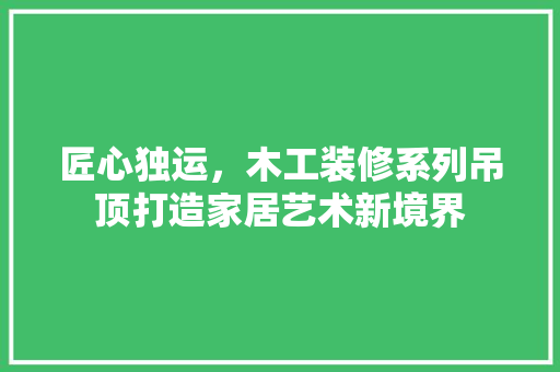匠心独运，木工装修系列吊顶打造家居艺术新境界