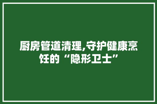 厨房管道清理,守护健康烹饪的“隐形卫士”