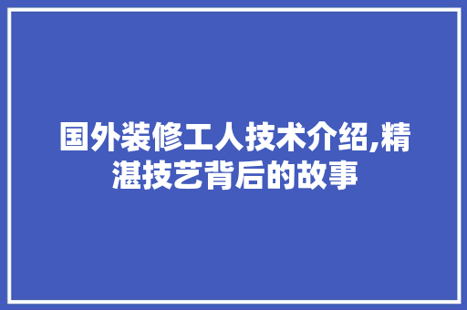 国外装修工人技术介绍,精湛技艺背后的故事
