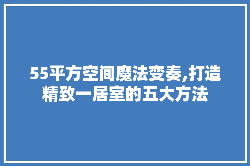 55平方空间魔法变奏,打造精致一居室的五大方法