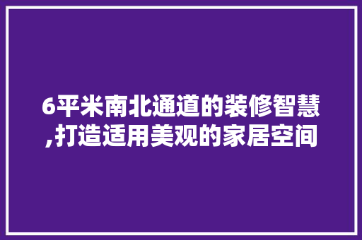 6平米南北通道的装修智慧,打造适用美观的家居空间