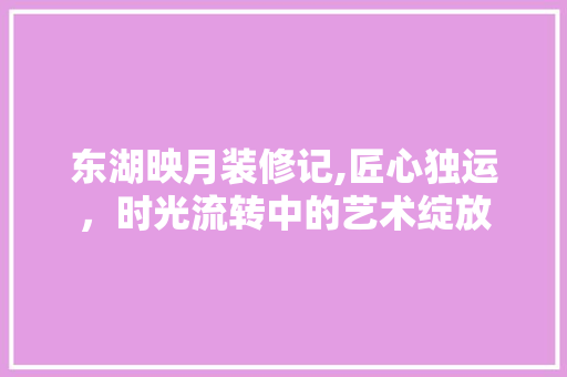 东湖映月装修记,匠心独运，时光流转中的艺术绽放