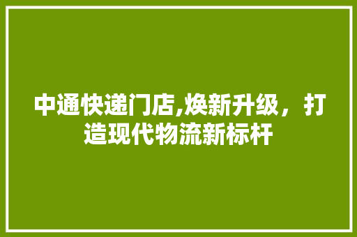 中通快递门店,焕新升级，打造现代物流新标杆