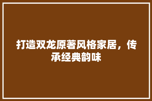 打造双龙原著风格家居，传承经典韵味 室内设计