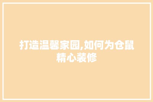 打造温馨家园,如何为仓鼠精心装修