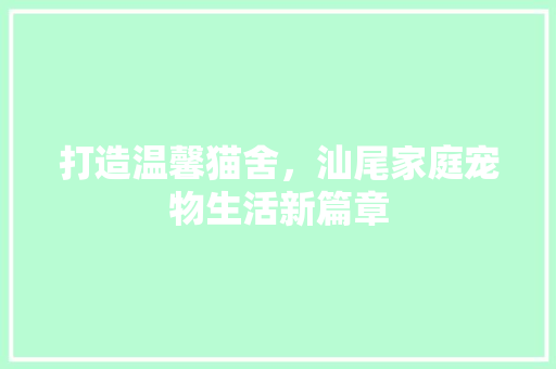 打造温馨猫舍，汕尾家庭宠物生活新篇章
