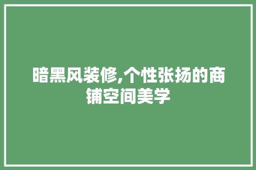 暗黑风装修,个性张扬的商铺空间美学