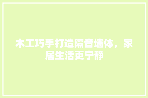 木工巧手打造隔音墙体，家居生活更宁静 客厅装修