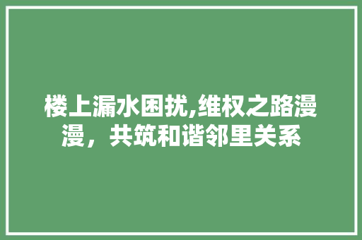 楼上漏水困扰,维权之路漫漫，共筑和谐邻里关系