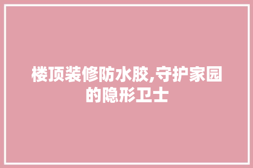 楼顶装修防水胶,守护家园的隐形卫士