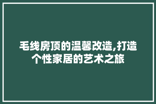 毛线房顶的温馨改造,打造个性家居的艺术之旅