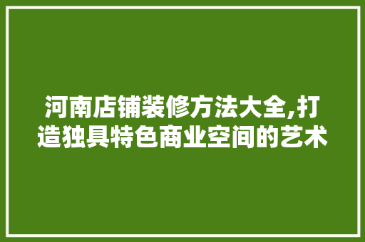 河南店铺装修方法大全,打造独具特色商业空间的艺术之旅