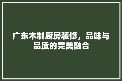 广东木制厨房装修，品味与品质的完美融合