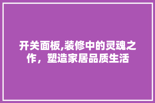 开关面板,装修中的灵魂之作，塑造家居品质生活 家居装修