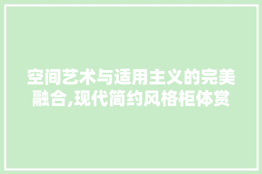 空间艺术与适用主义的完美融合,现代简约风格柜体赏析