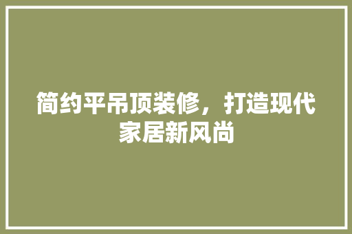 简约平吊顶装修，打造现代家居新风尚 客厅装修