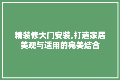 精装修大门安装,打造家居美观与适用的完美结合