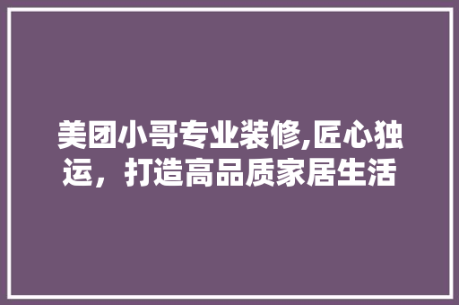 美团小哥专业装修,匠心独运，打造高品质家居生活 现代风格装饰