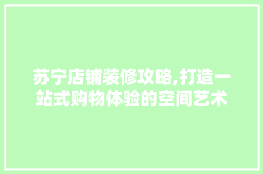 苏宁店铺装修攻略,打造一站式购物体验的空间艺术 现代风格装饰