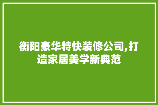衡阳豪华特快装修公司,打造家居美学新典范 现代风格装饰