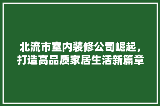 北流市室内装修公司崛起，打造高品质家居生活新篇章 家居装修